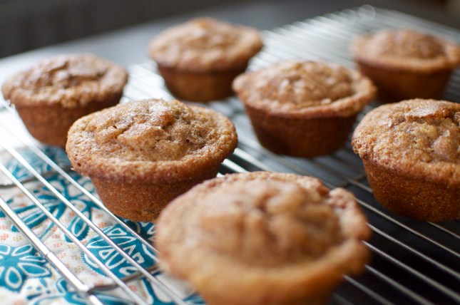 applesauce muffins 3
